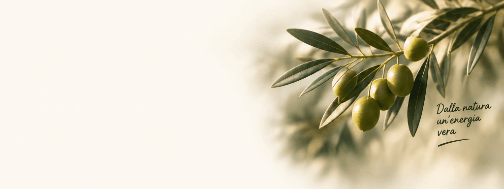 Ramo di ulivo con olive e claim: Dalla natura un'energia vera